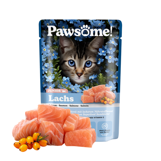 Pawsome! Junior s lososom 85 g